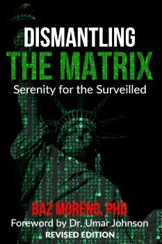 Dismantling the Matrix