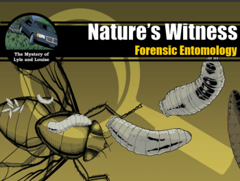 Natures Witness Forensic Entomology Lecture