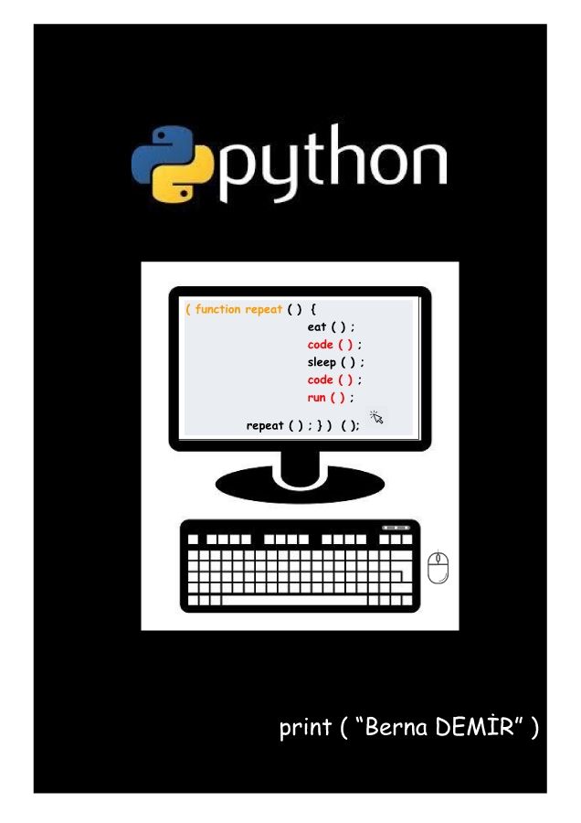 BERNA DEMİR PYTHON FLIPBOOK