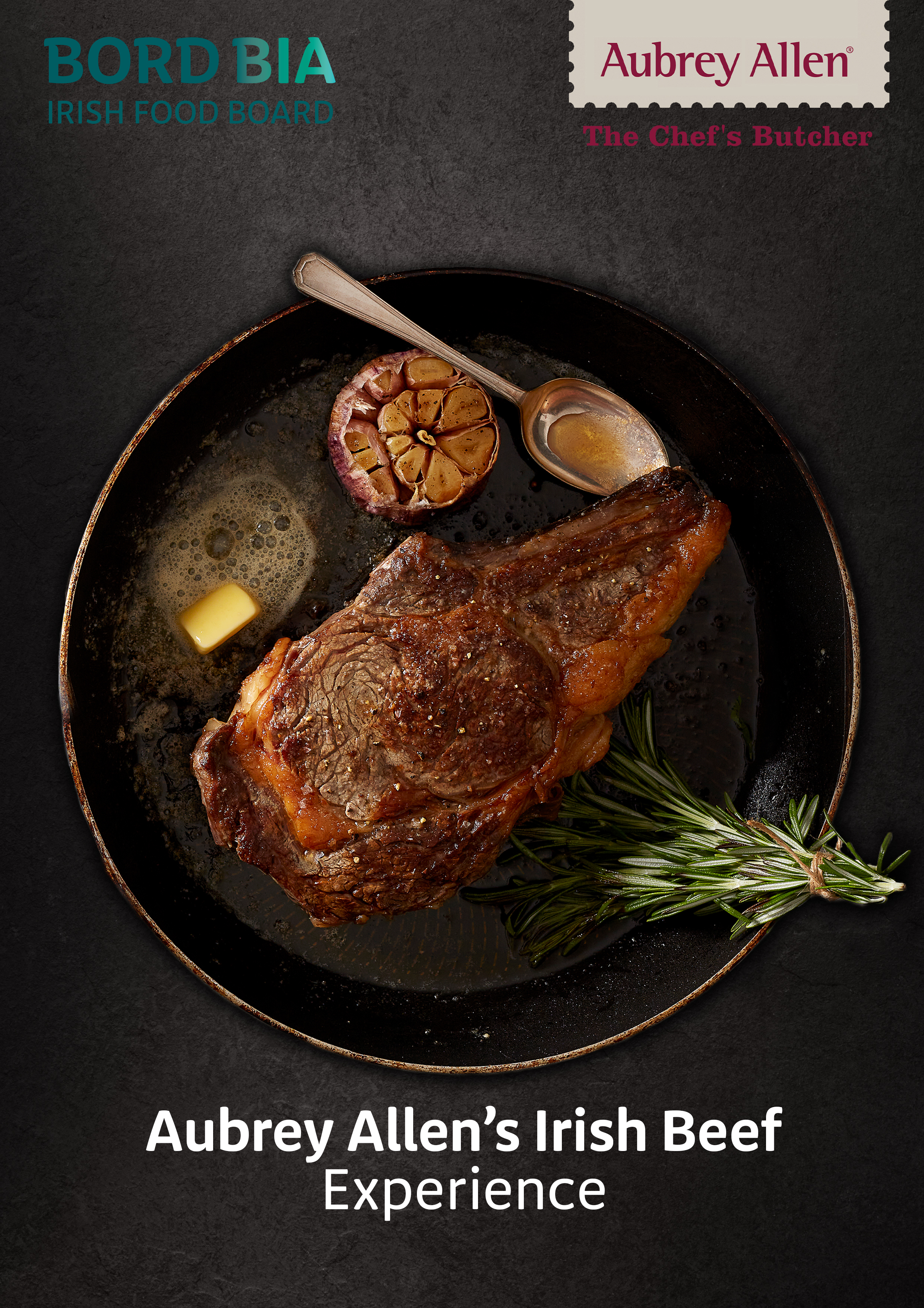 AubreyAllen_IrishBeef_Experience_Book