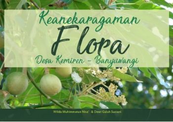 coba oke