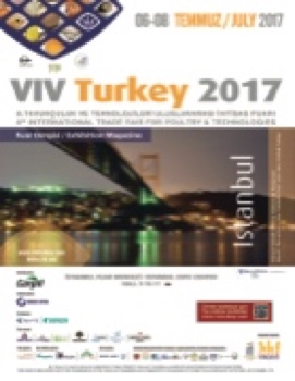 VivTurkey