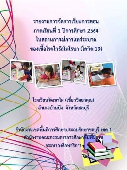 รายงานการสอนออนไลน์