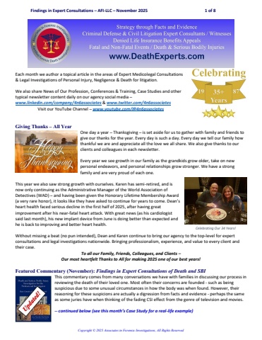 Findings_in_Expert_Consultations-AFI-LLC-Nov_2025