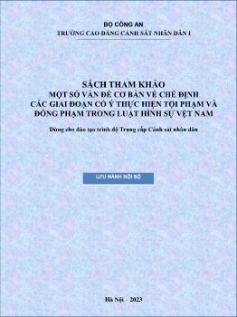 STK Mot so van de co ban ve che dinh cac giai doan co y thuc hien toi pham va dong pham trong LHS VN