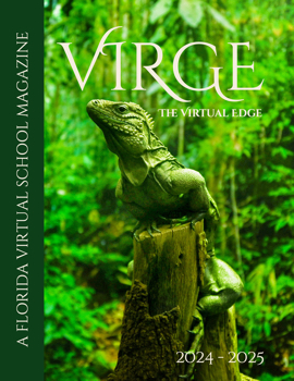 Virge 2025