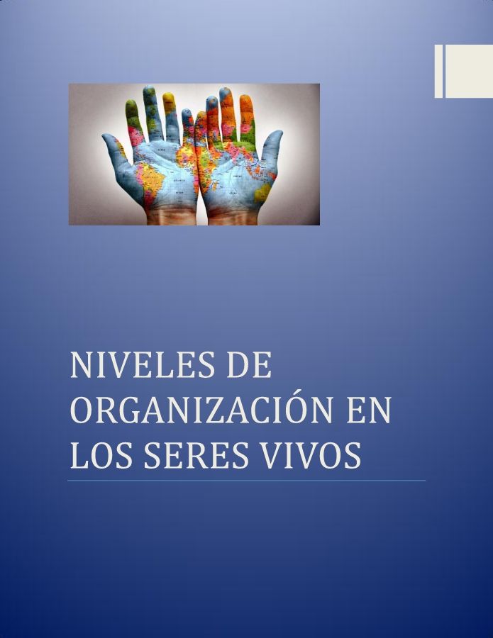 NIVELES DE ORGANIZACIÓN EN LOS SERES VIVOS 1_Neat