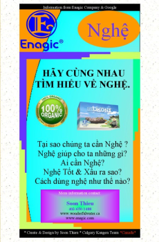 NGHỆ -BROCHURE-VN soon thieu