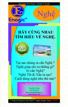 NGHỆ BROCHURE VN (Tuyet Lam)