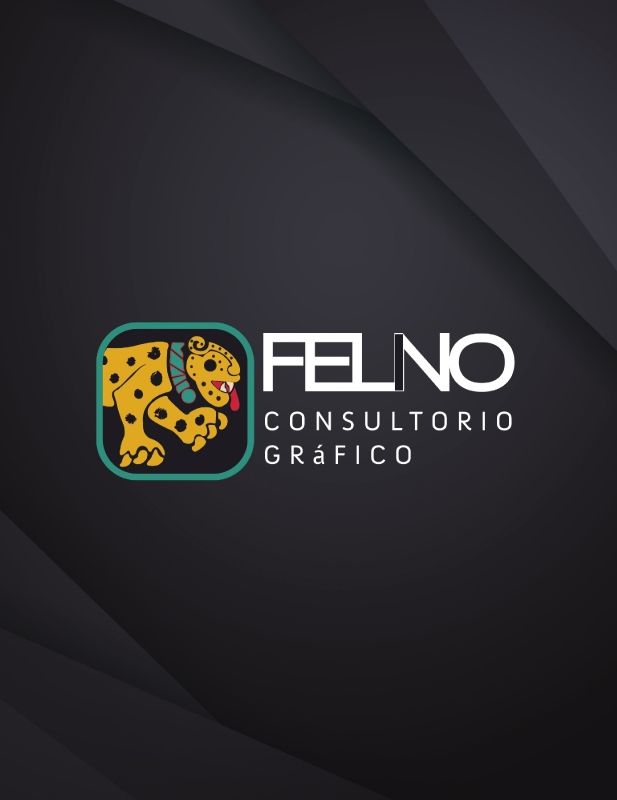 MANUALfelino grafico