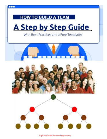 StepStep-by-Step Plan to Build Your (Team)