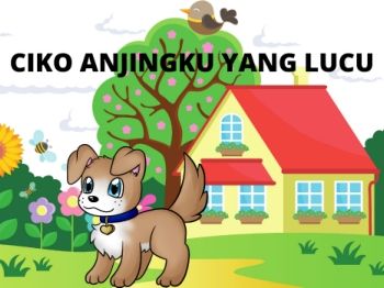 Ciko, anjing yang ceria, dia tinggal bersama kami dirumah dan kami sangat menyayangi ciko .Aku sering mengajak ciko bermain bola dan menikmati jalan-jalan sore bersama.