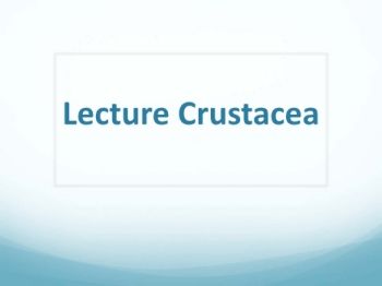 Crustaceans