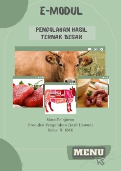 E-Modul Interaktif
