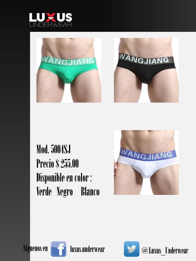 Catalogo Brief