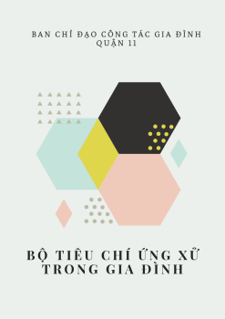 BO TIEU CHI UNG XU Q11
