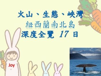 USG紐西蘭17日