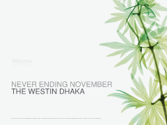 Never Ending November - The Westin Dhaka