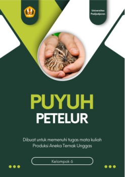 Ebook Puyuh Petelur_Kelompok 6