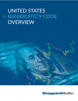 US Bankruptcy Code Overview