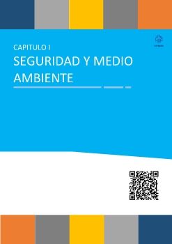 Microsoft Word - Capitulo Seguridad y Medio Ambiente prueba 4