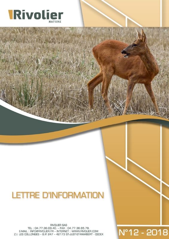 LETTRE_INFO_N°12_V5_Neat