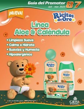 Guia 87