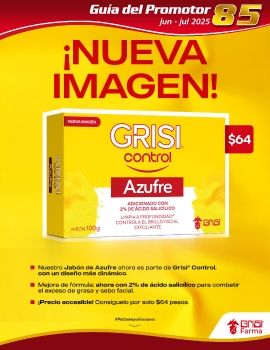 Guia 85