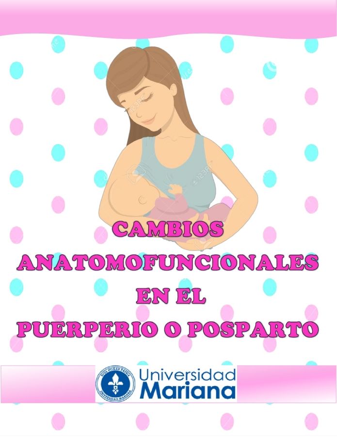 CAMBIOS ANATOMOFUNCIONALES EN EL PUERPERIO