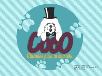 CATALOGO ATUENDOS PARA TU MASCOTA - COCO_Neat