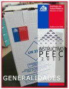 Microsoft Word - INSTRUCTIVO PEEC GENERALIDADES