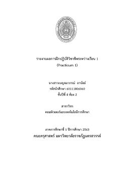 รายงานผลการฝึกปฏิบัติวิชาชีพระหว่างเรียน 1