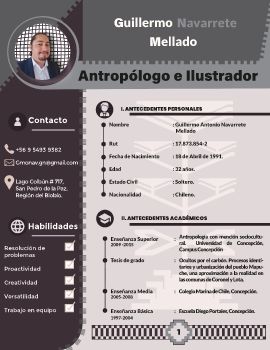 CV Guillermo Navarrete Mellado_Neat