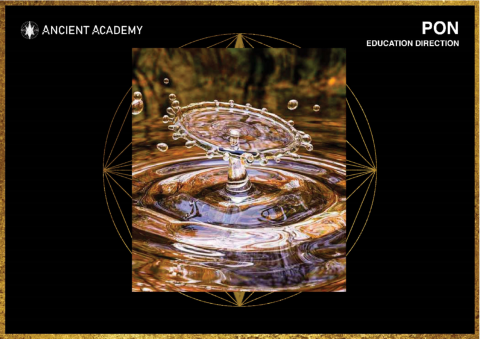 PON-ancient-academy-education-direction