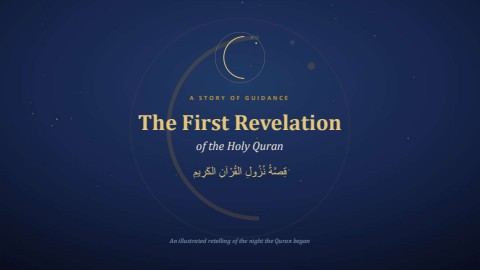 the book 5
