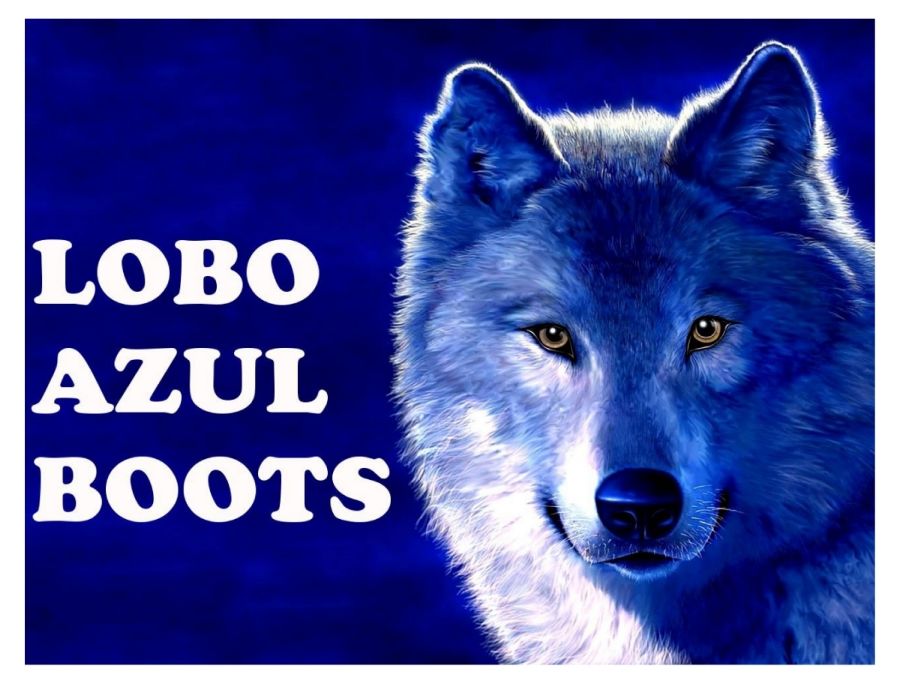 LOBO AZUL2