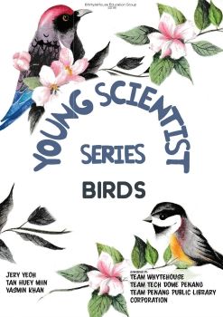 01 birds 