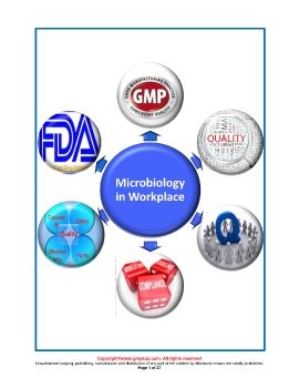 Microbiology in workplace