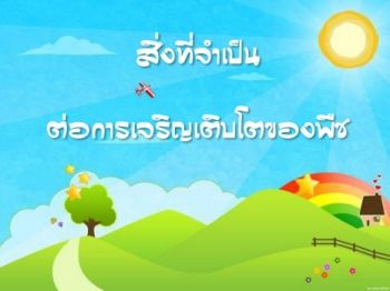 สื่อการสอน ป2