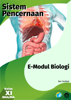 E-MODUL SISTEM PENCERNAAN NURFADILAH