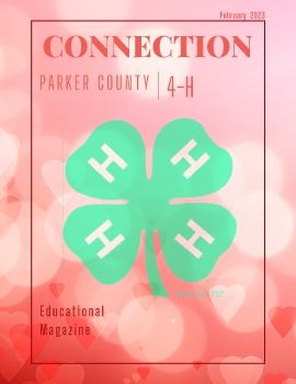 February 2023 Parker Co. 4-H Connection  