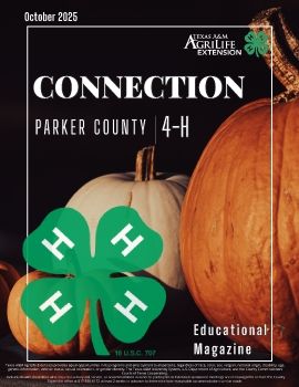 October 2025 Parker Co. 4-H Connection