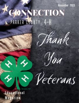 2023 November Parker Co. 4-H Connection