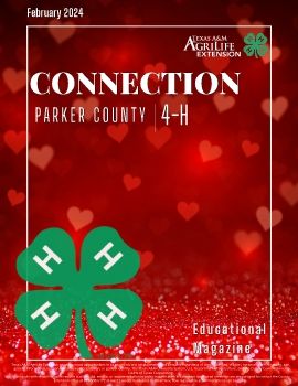 2024 February Parker Co. 4-H Connection