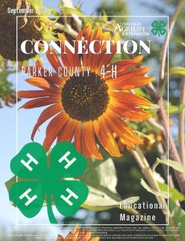 2024 September Parker Co. 4-H Connection