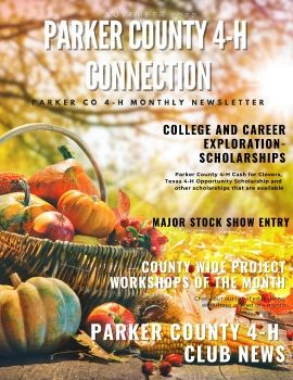 November 2020 Parker County 4-H Connection