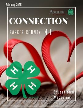 February 2025 Parker Co. 4-H Connection