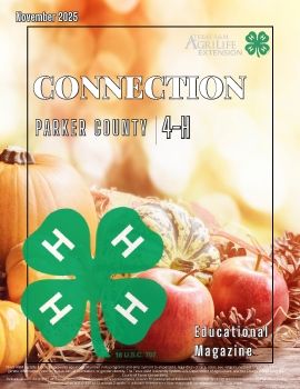 November 2025 Parker Co. 4-H Connection