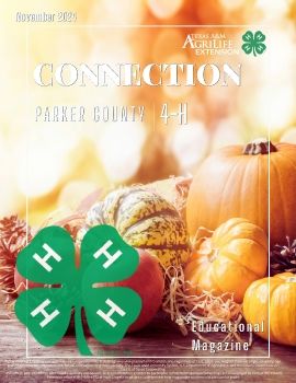 November 2024 Parker Co. 4-H Connection