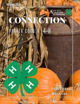 2024 October Parker Co. 4-H Connection